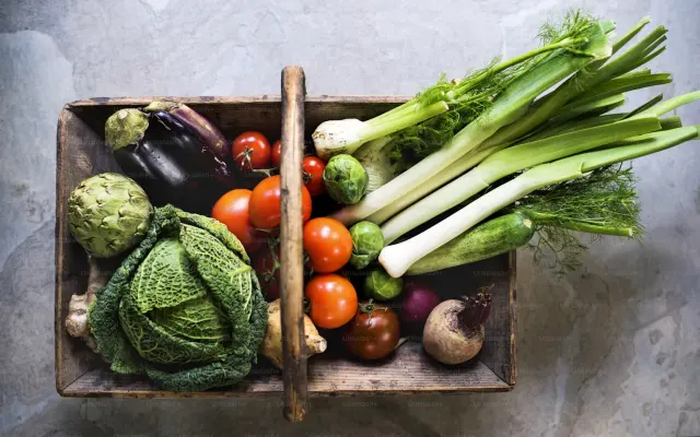 Consommation responsable : comment réduire son empreinte carbone ?
